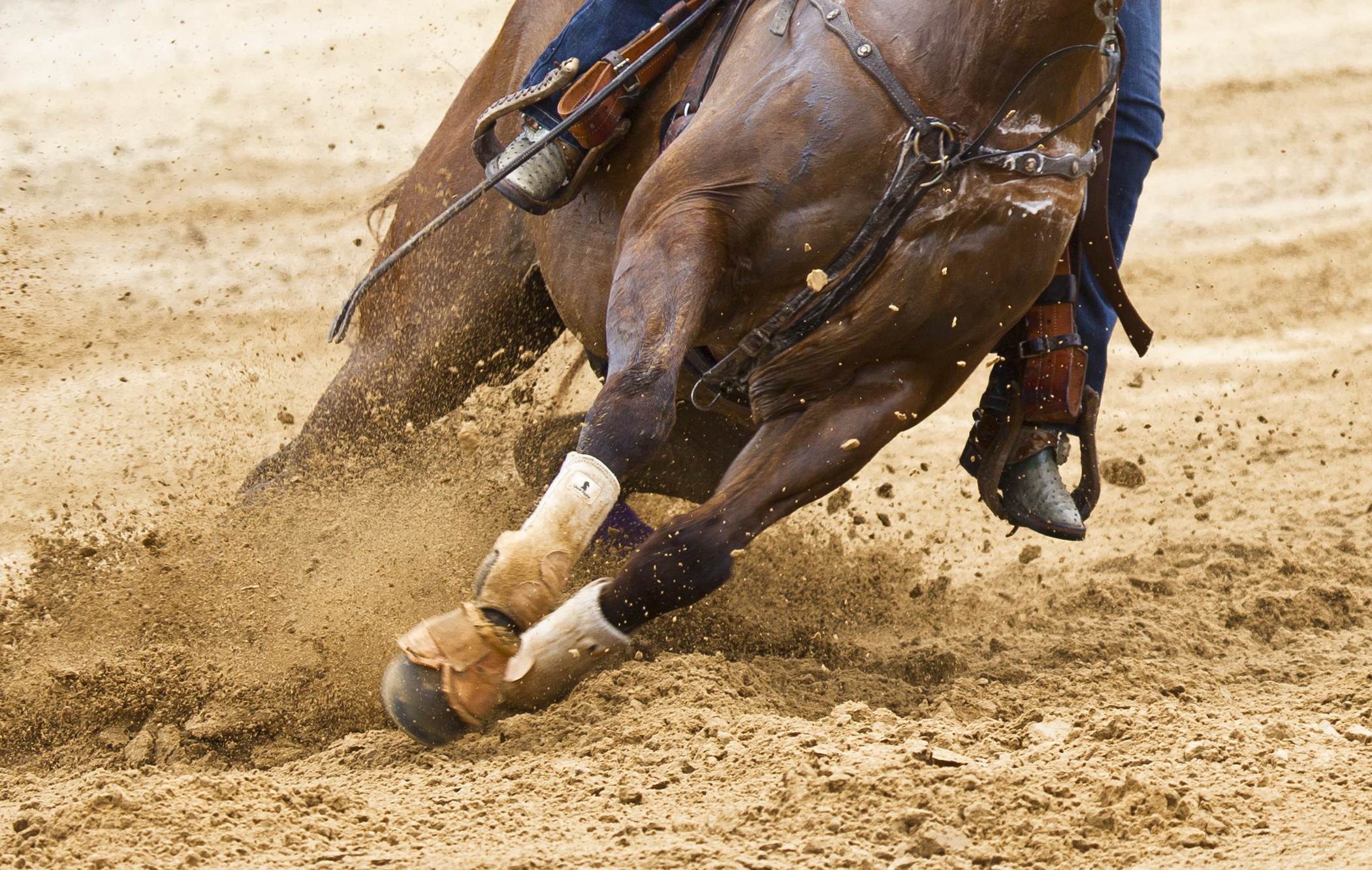 NEO Earns Top Prize at Black Hawk College Equestrian Show - Northeastern  Oklahoma A&M Athletics