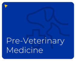 Selectable image labeled Pre-Veterinary Medicine.